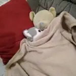 hajánek dostal rýmečku