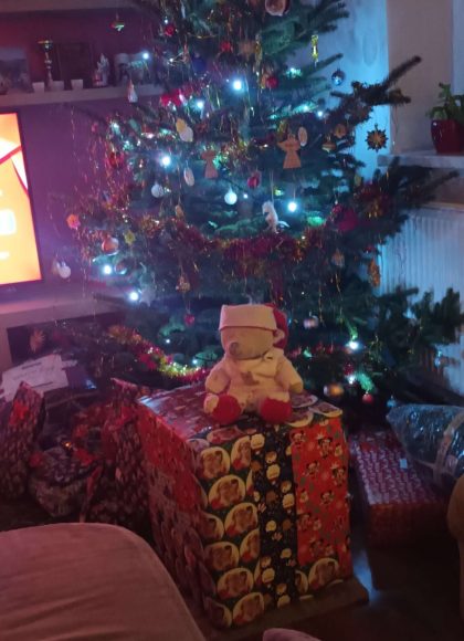 hajánek hlídající dárky